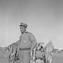 217ATN SMARA